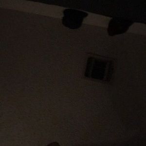 Meet your Posher, Jessie